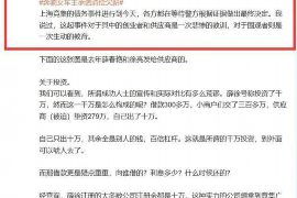 郓城为什么选择专业追讨公司来处理您的债务纠纷？